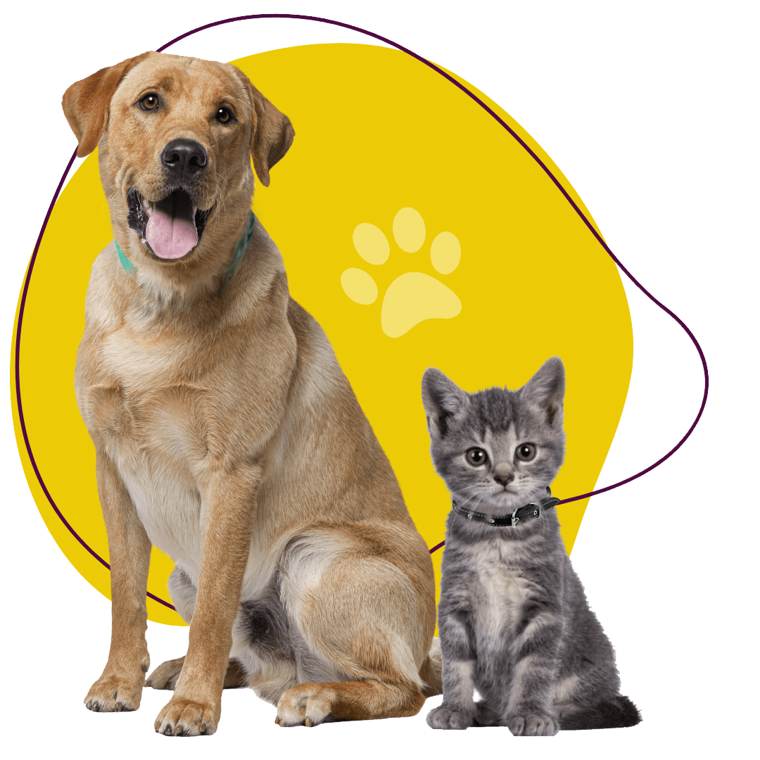 New_dog-and-cat-with-blob-shape