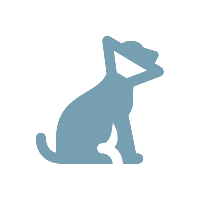 dog in a cone icon
