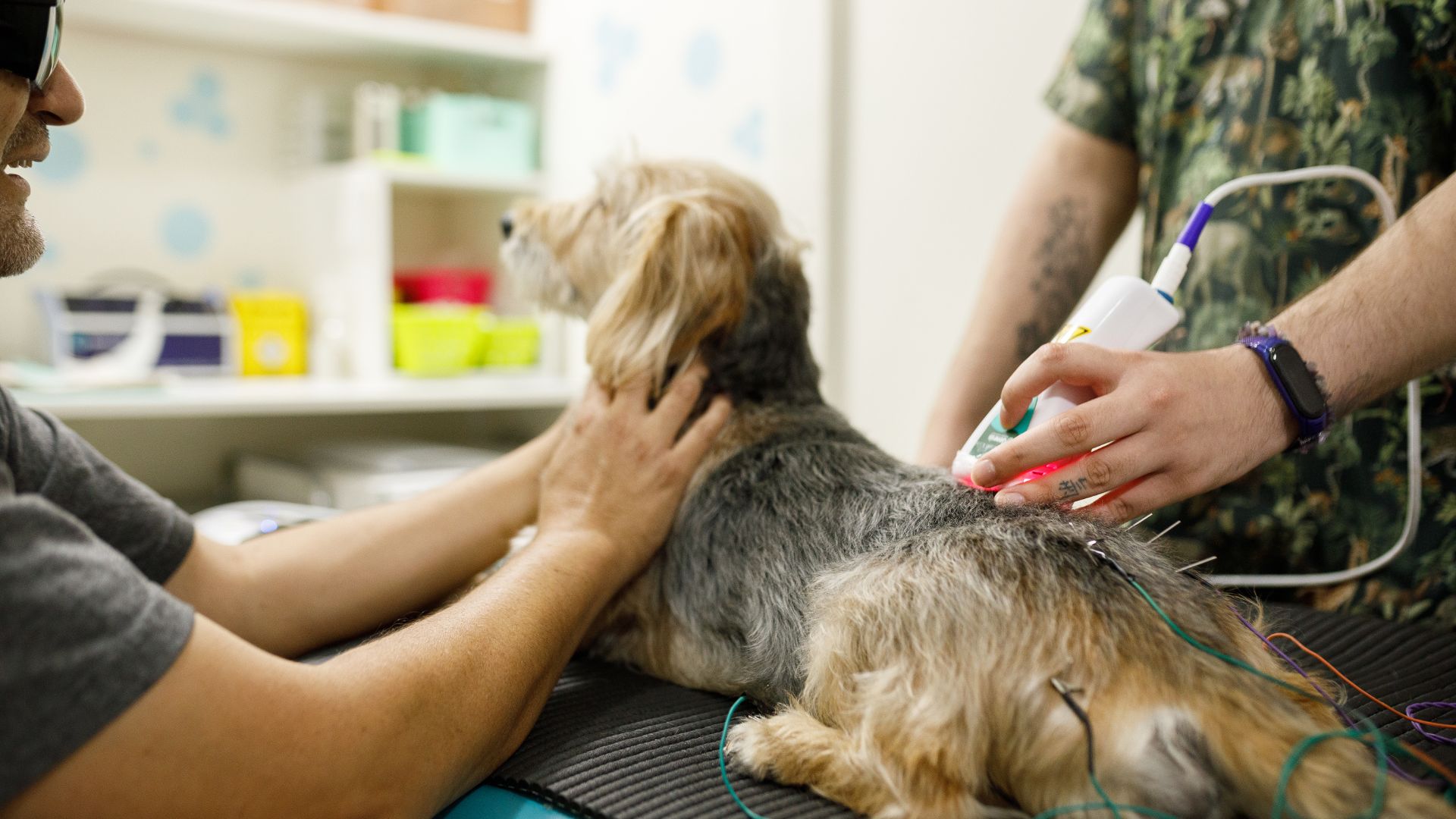 A man uses an electronic device for laser therapy