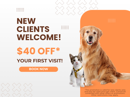 $40 off (7) A white dog and a small kitten peacefully sitting together on a wooden bench